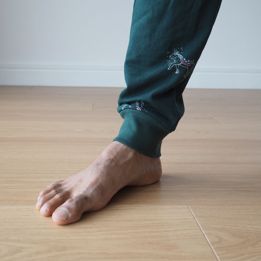 Hudson Pants Pjs Kit (with pattern)