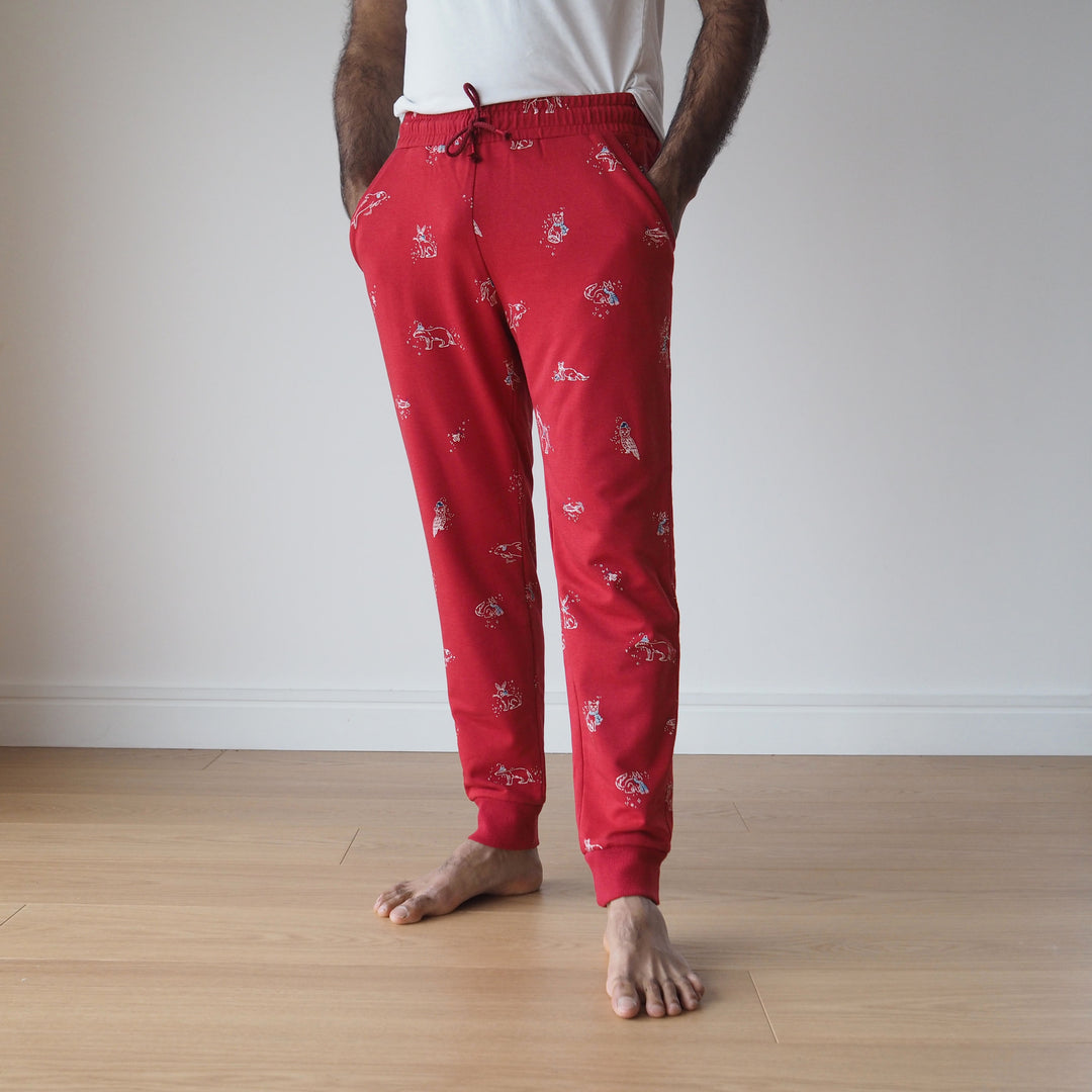 Hudson Pants Pjs Kit (with pattern)