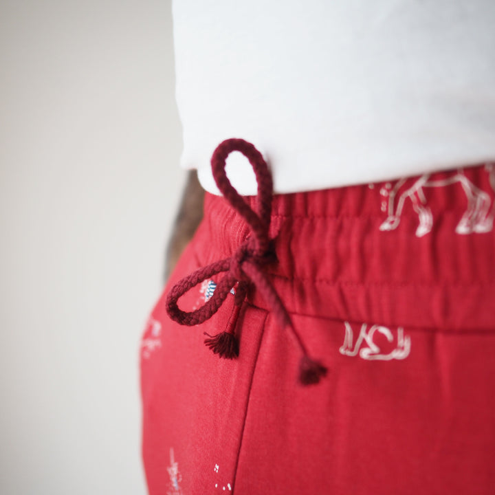 Hudson Pants Pjs Kit (with pattern)