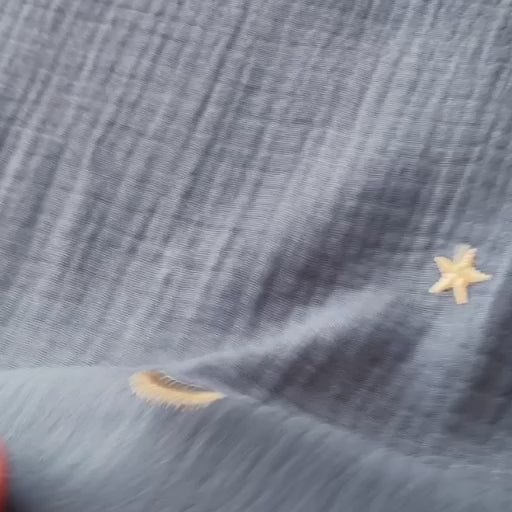 River Starry Night Embroidered Cotton Double Gauze Fabric for dressmaking