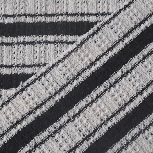 Cream and black striped knotted jacquard stretch jacquard fabric